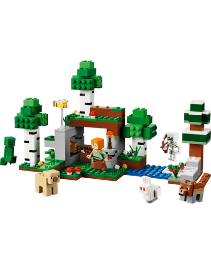 LEGO 21593 First Night Adventure V2 set in front of white background.