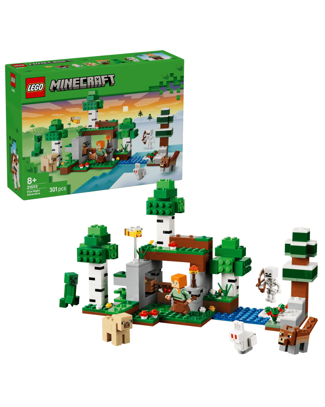 LEGO 21593 First Night Adventure V2 set in front of product box and white background