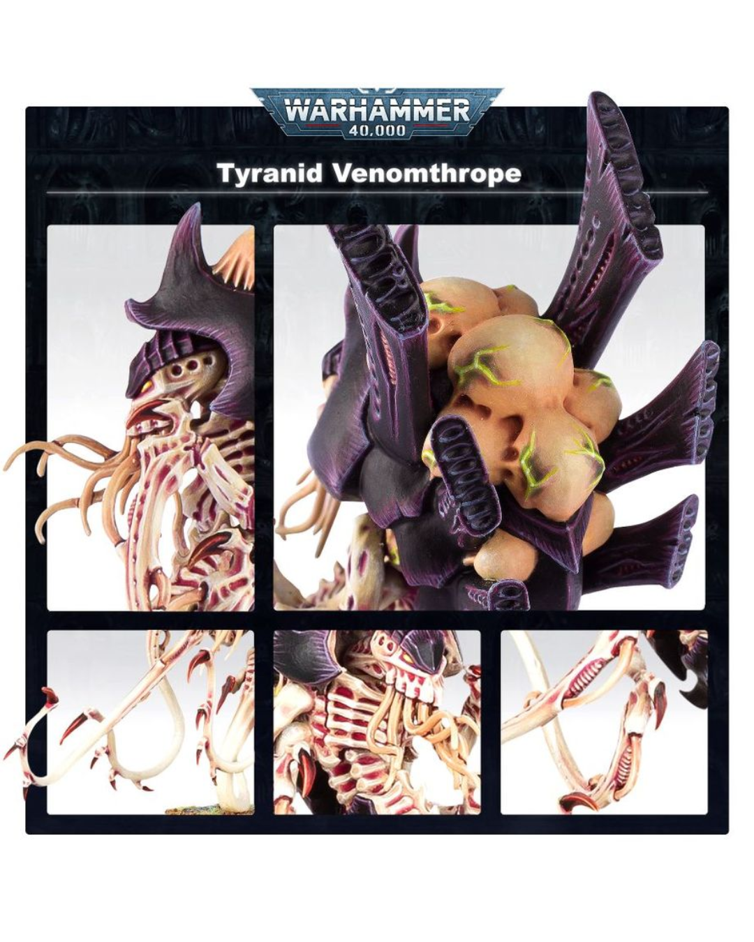Warhammer 40k Tyranid Venomthrope miniatures kit card showing multiple detailed views of the purple and beige skeletal insectoid model on a black background.